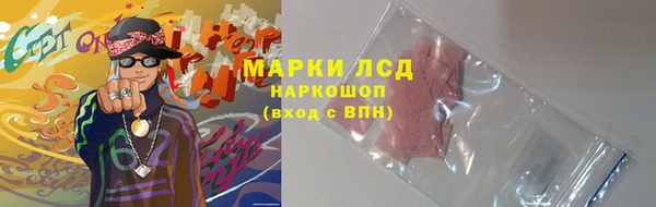 индика Бородино